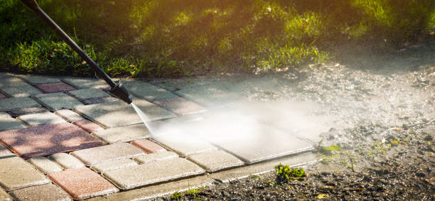 Best Fence Cleaning and Maintenance in Omaha, TX
